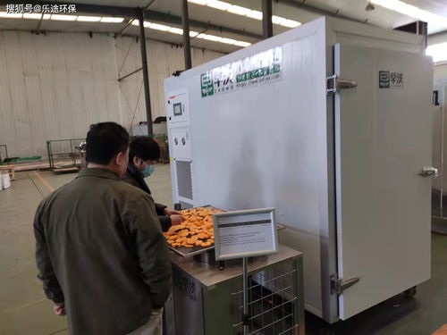 箱式食品烘干与柿子烘干设备 异同解析及新兴能源技术的融合创新