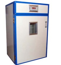 江苏徐州宏宇特种养殖基地 芦花鸡专业供应商与新兴能源技术研发的双重探索